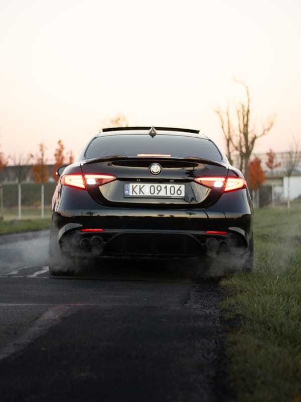 Alfa Romeo Giulia - widok z przodu, aleja drzew o swicie Alfa Romeo Giulia - widok z przodu, aleja drzew o swicie