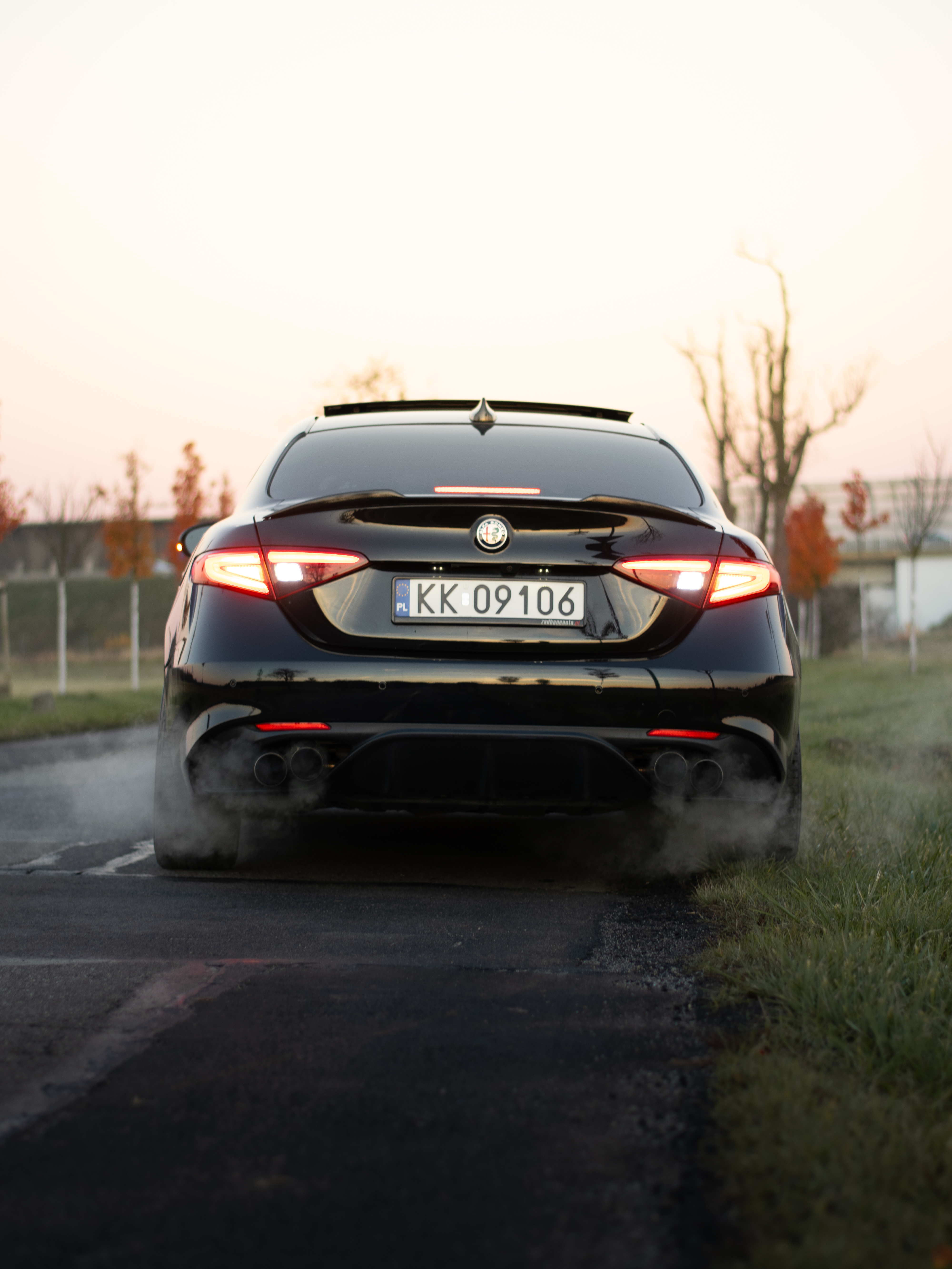 Alfa Romeo Giulia - widok z przodu, aleja drzew o swicie