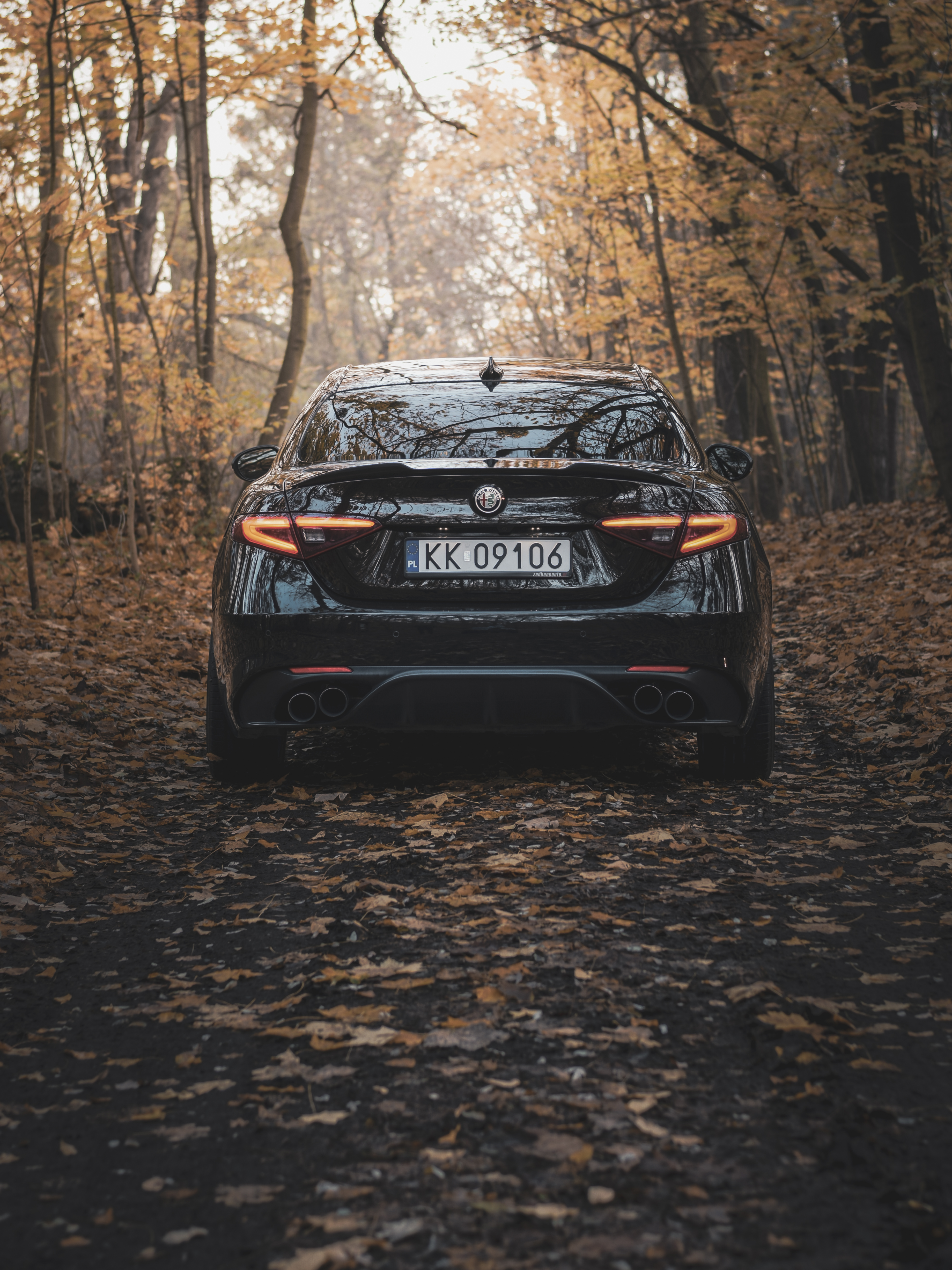 Alfa Romeo Giulia - tyl w jesiennym lesie